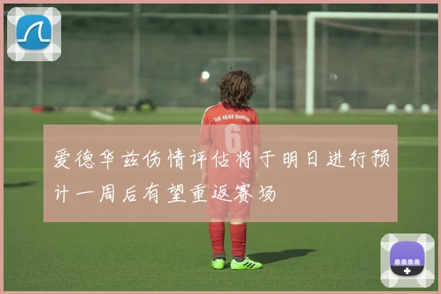 爱德华兹伤情评估将于明日进行预计一周后有望重返赛场