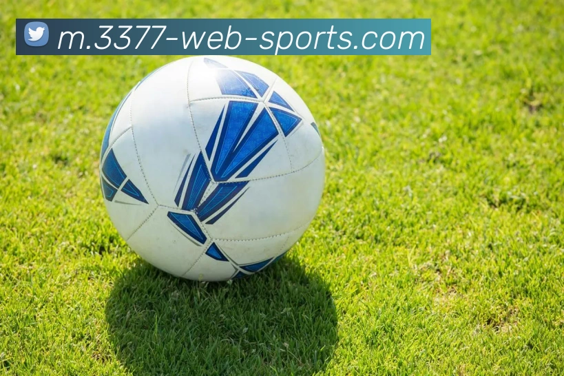 3377体育APP 封面图